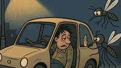 Vic: Lete dva komarca oko pijanca